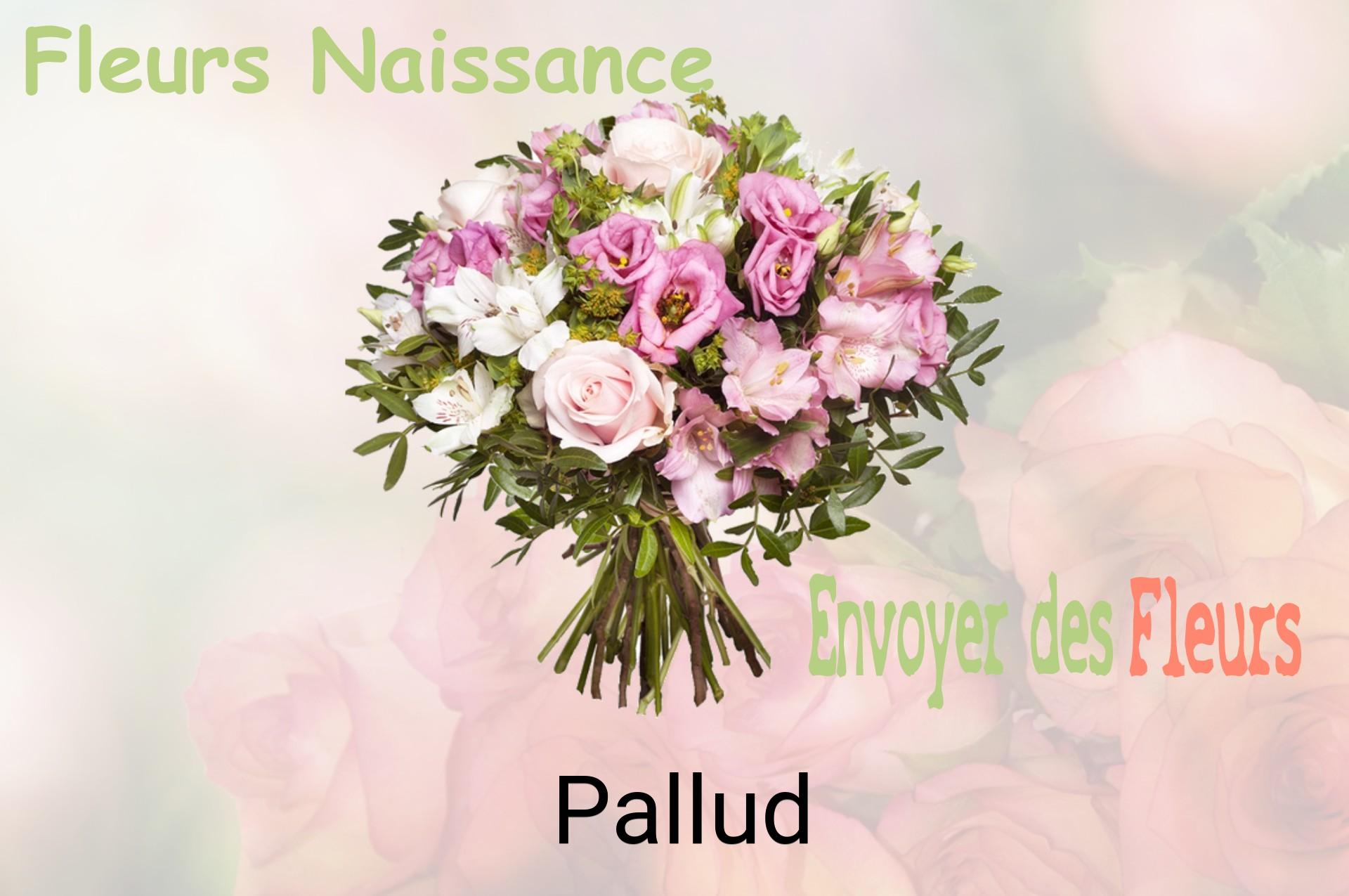 Bouquet de fleurs de naissance livré à Pallud